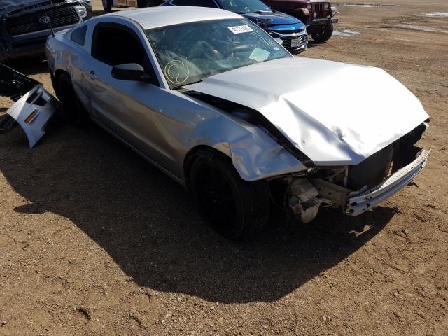 vin: 1ZVBP8AM3E5259058 1ZVBP8AM3E5259058 2014 ford mustang 3700 for Sale in US Tx