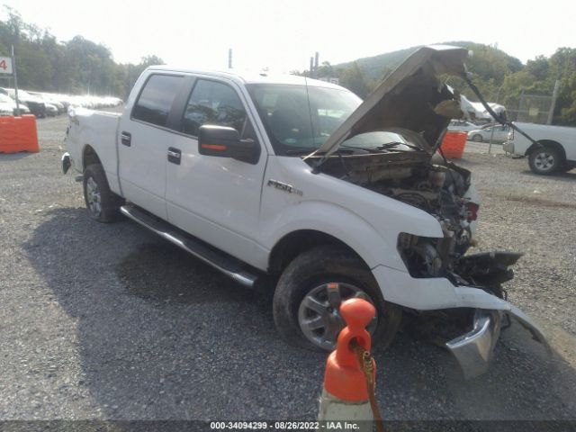vin: 1FTFW1EF6DKF24775 1FTFW1EF6DKF24775 2013 ford f-150 5000 for Sale in US VA