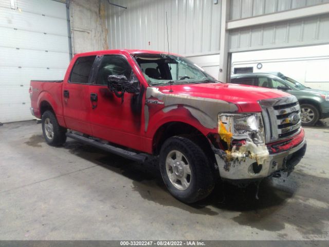 vin: 1FTFW1EF6BKD68248 1FTFW1EF6BKD68248 2011 ford f-150 5000 for Sale in US AK