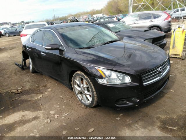vin: 1N4AA5AP4AC813020 2010 Nissan Maxima 3.5L For Sale in Indianapolis IN