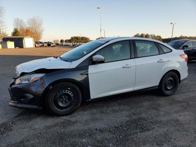 vin: 1FADP3F2XDL321481 1FADP3F2XDL321481 2013 ford focus se 2000 for Sale in US FL