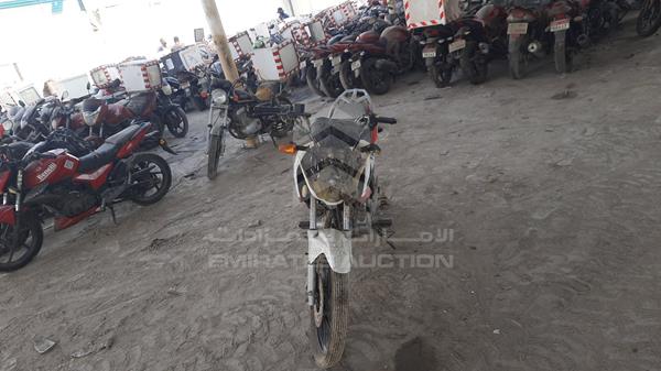 vin: LAEE1CCJ4KMA06871   	2019 Yamaha   Motorbike for sale in UAE | 391301  