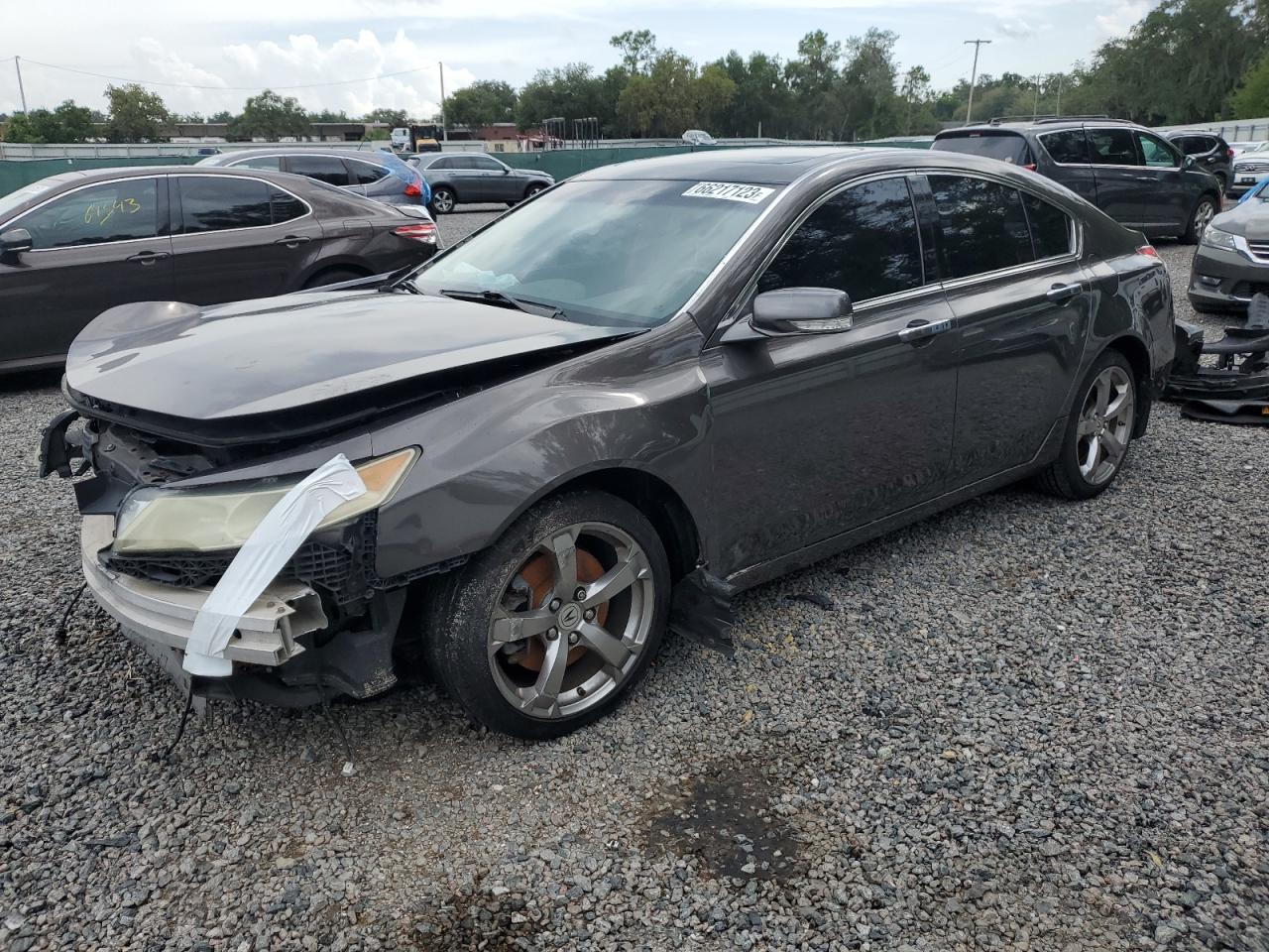 vin: 19UUA96559A002597 19UUA96559A002597 2009 acura tl 3700 for Sale in 33578 7610, Fl - Tampa South, Riverview, USA