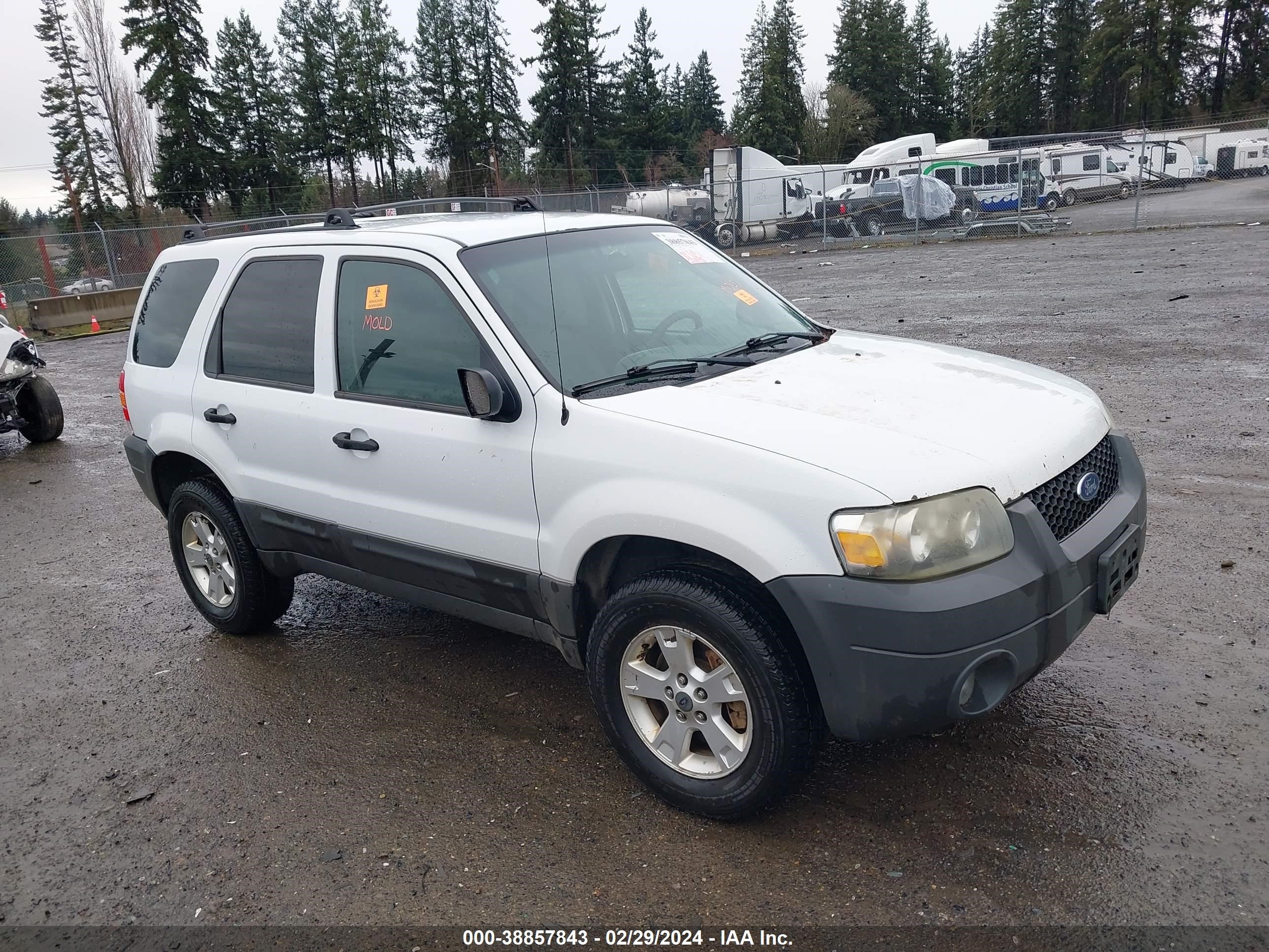 vin: 1FMYU93135KC27867 1FMYU93135KC27867 2005 ford escape 3000 for Sale in 98374, 15801 110Th Ave E, Puyallup, Washington, USA