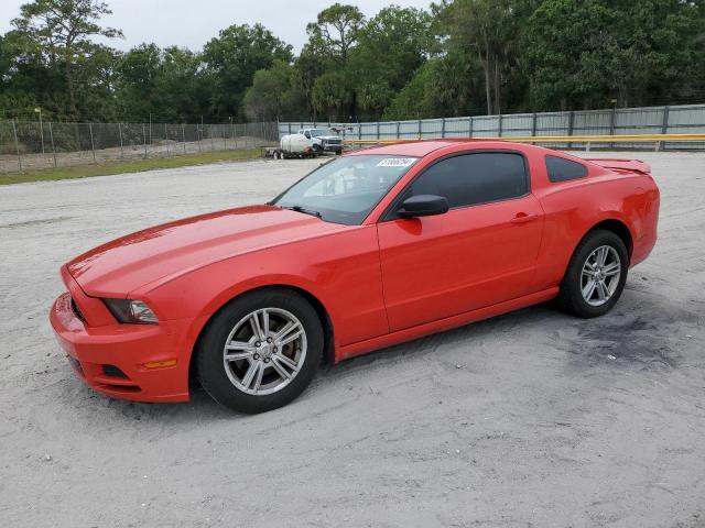 vin: 1ZVBP8AM5D5275874 1ZVBP8AM5D5275874 2013 ford mustang 3700 for Sale in USA FL Fort Pierce 34946