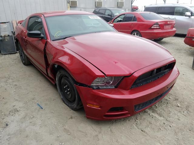VIN: 1ZVBP8AM6D5271736 FORD MUSTANG 2013