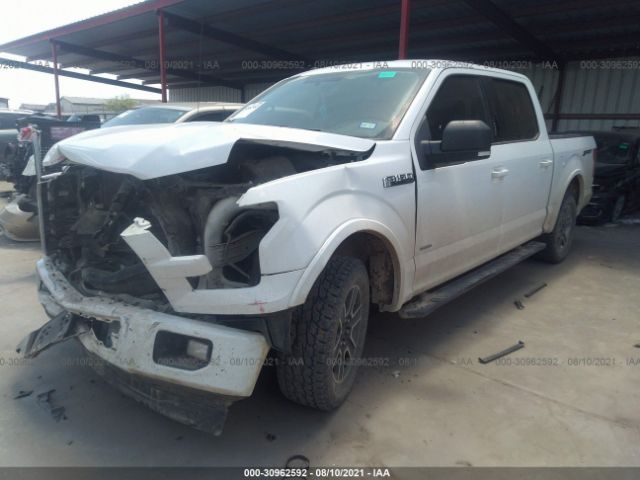 VIN: 1FTEW1CP1HKE11801 FORD F-150 2017