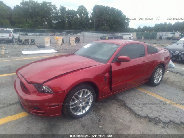 VIN: 1ZVBP8AM7D5277142 FORD MUSTANG 2013