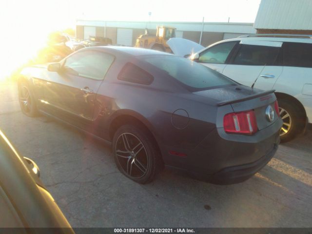 VIN: 1ZVBP8AN7A5107657 FORD MUSTANG 2010