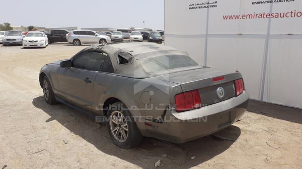 VIN: 1ZVFT84N255207230 FORD MUSTANG 2005