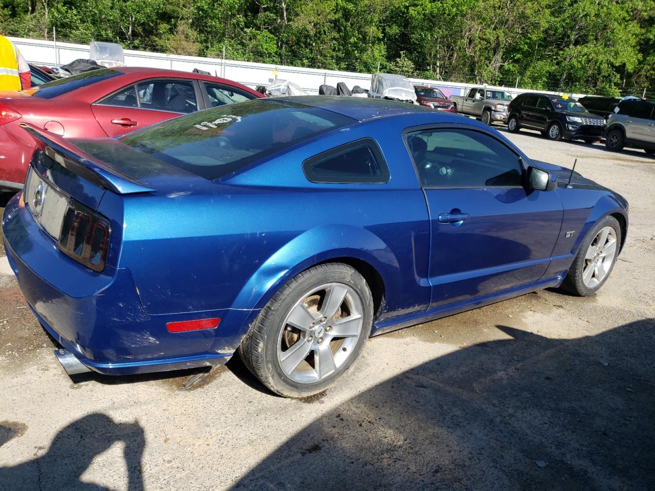 VIN: 1ZVFT82H065191589 FORD MUSTANG 2006