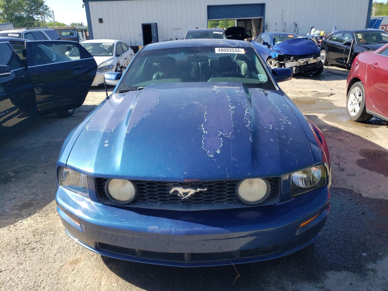 VIN: 1ZVFT82H065191589 FORD MUSTANG 2006